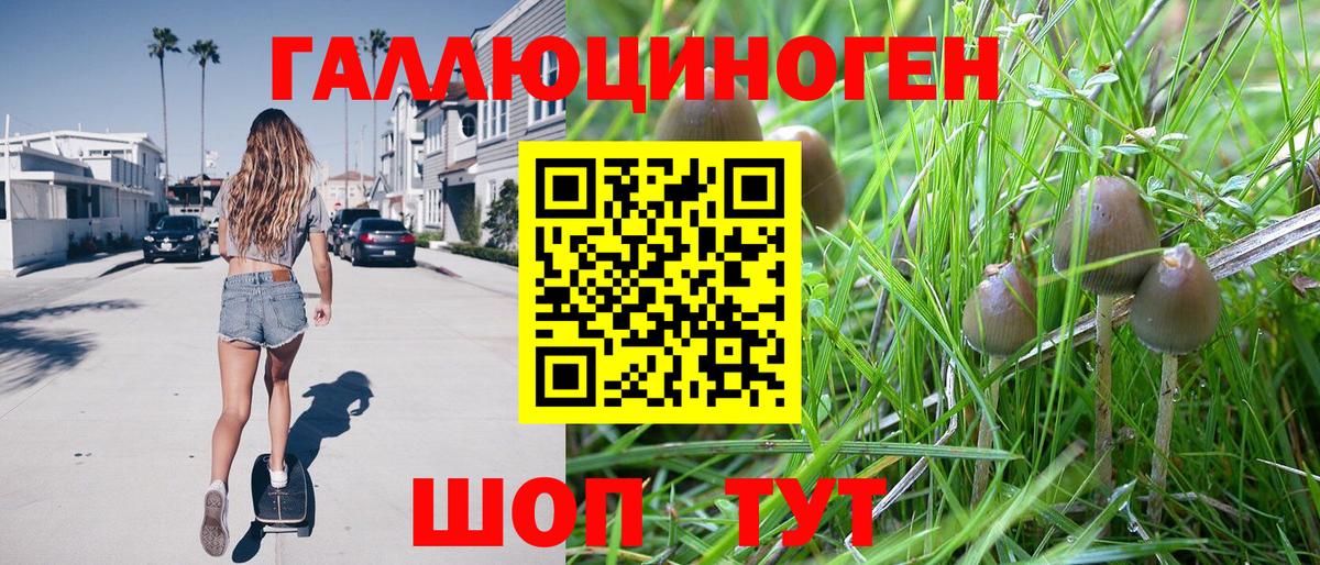 Псилоцибиновые грибы мицелий Ногинск
