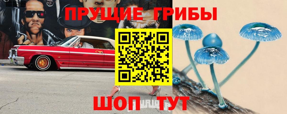 Ногинск  Галлюциногенные грибы прущие грибы  Вход с VPN 